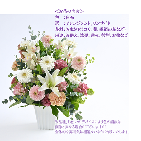 ���������β֥���󥸥��ȡ�ARF-8000-����