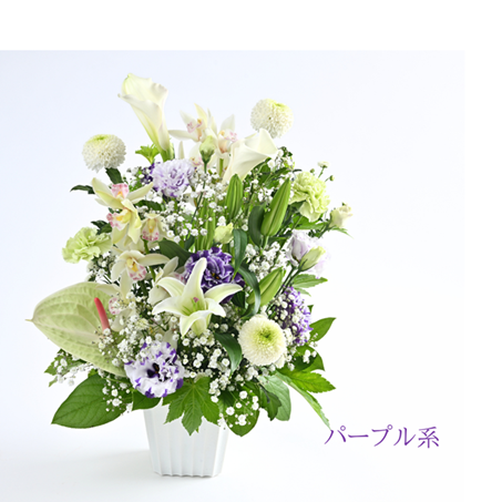 ���������β֥���󥸥��ȡ�ARF-8000-����