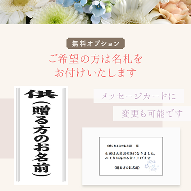 ���������β֥���󥸥��ȡ�ARF-8000-����