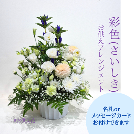 ���������ե�����󥸥��ȡ��̿��ʤ���������