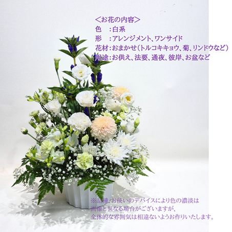 ���������ե�����󥸥��ȡ��̿��ʤ���������