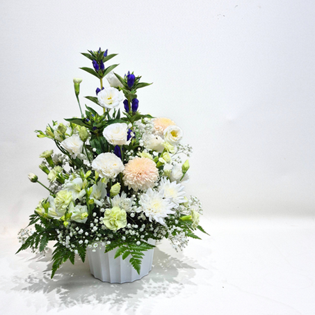 ���������ե�����󥸥��ȡ��̿��ʤ���������