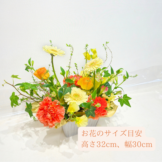 �ڵ������۽դβ֤�Ȥä����ޤ������ᥢ���