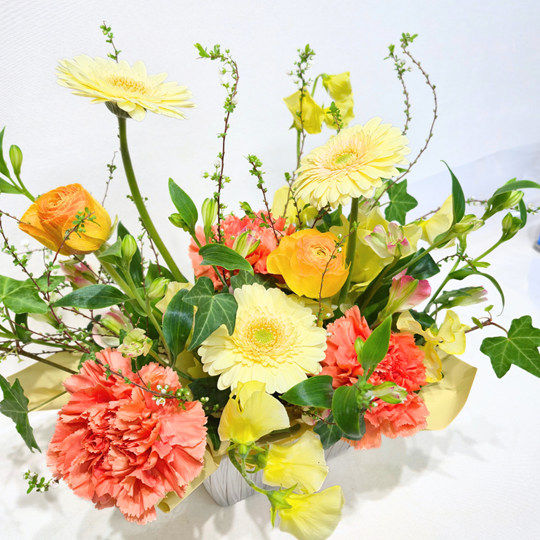 �ڵ������۽դβ֤�Ȥä����ޤ������ᥢ���