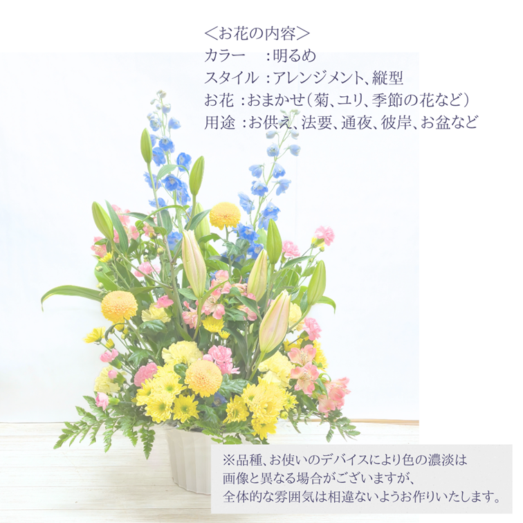 ��������̿����£�뵨��Υ���󥸥��ȡ�ARF-8000��