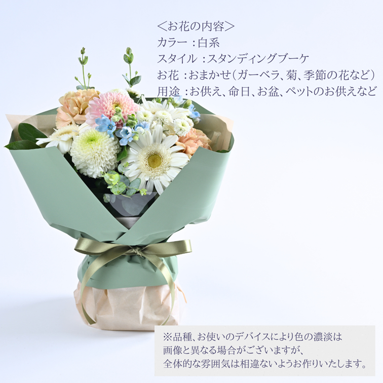 �������ء��䤵���������ʺ̤ꡡ������������ǥ��󥰥֡��������ޤ���