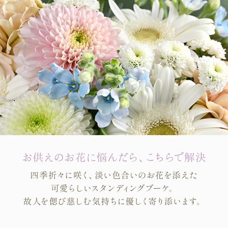 �������ء�������������ǥ��󥰥֡��������ޤ���