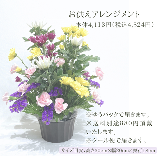 �������ء�����������󥸥��ȡ�����ᤪ�ޤ�����ARF-4113-C��