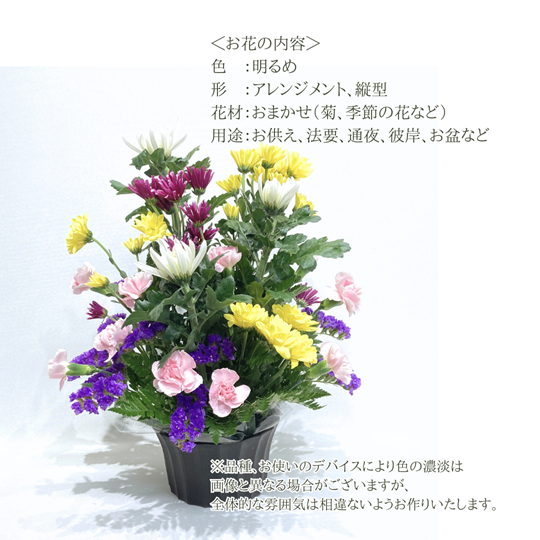 �������ء�����������󥸥��ȡ�����ᤪ�ޤ�����ARF-4113-C��