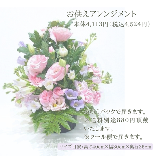 �������ء�����������󥸥��ȡ�ø�����ޤ�����ARF-5113-C��