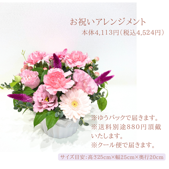 �������ء��ե�����󥸥��ȡ�AR-4113P2-C��