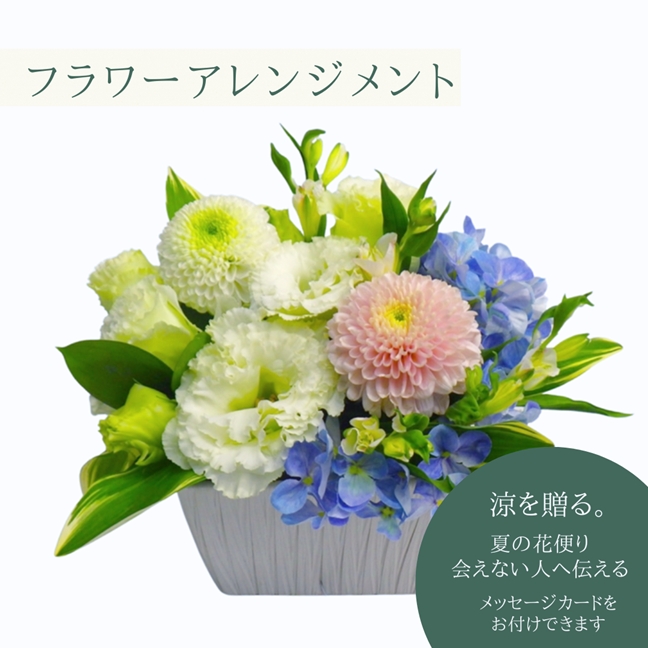 �ƥ��եȡ��ä�£�롡�ƤΥ���󥸥���