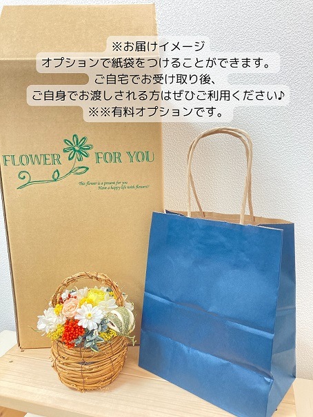 �ߥ˥Х����åȡʥץꥶ���֥ɥե��˥֥롼��