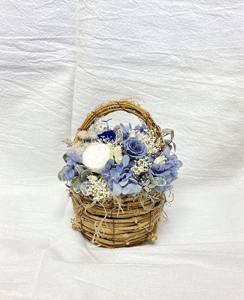 �ߥ˥Х����åȡʥץꥶ���֥ɥե��˥֥롼��