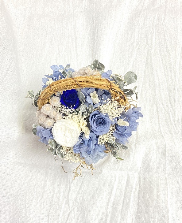 �ߥ˥Х����åȡʥץꥶ���֥ɥե��˥֥롼��