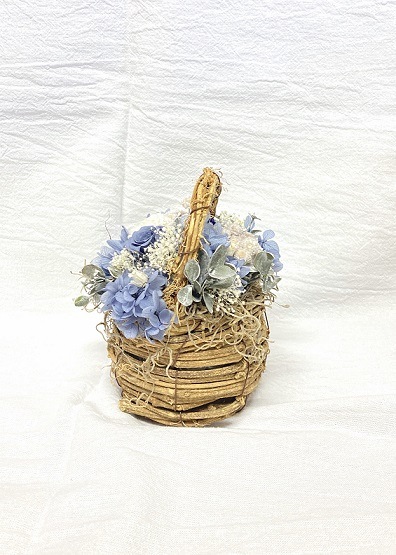 �ߥ˥Х����åȡʥץꥶ���֥ɥե��˥֥롼��