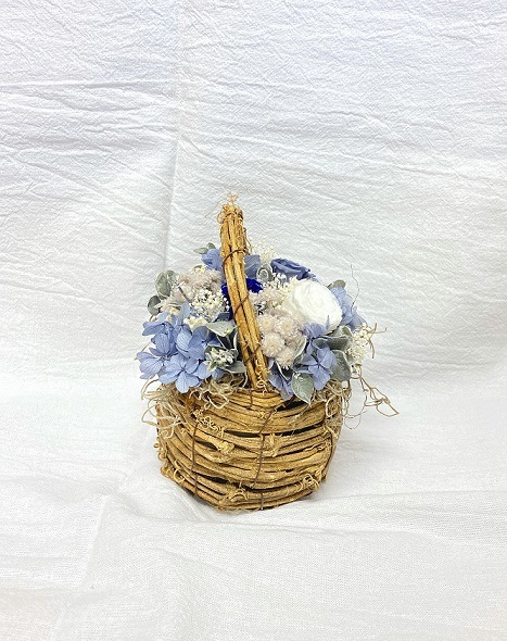 �ߥ˥Х����åȡʥץꥶ���֥ɥե��˥֥롼��