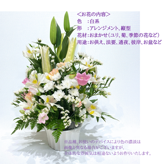 ����������󥸥��ȡ���Ϥ��ޤ�����ARF-4500-����