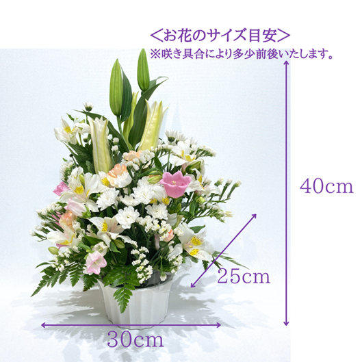 ����������󥸥��ȡ���Ϥ��ޤ�����ARF-4500-����