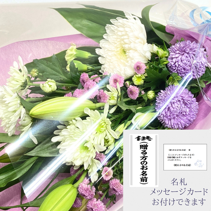 ��������«����Ϥ��ޤ�����BQF-4500��