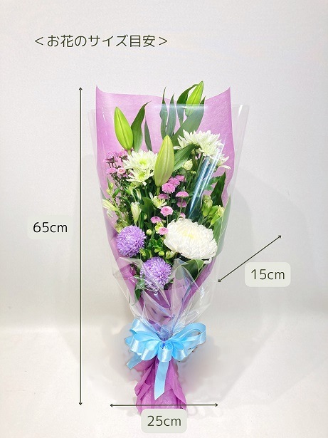 ��������«����Ϥ��ޤ�����BQF-4500��