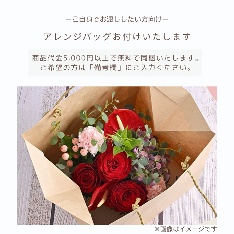 �����񤤡������ˤ��Τ��֡ò�������󥸷ϥ���󥸥��ȡ�AR-6000Y��OR��