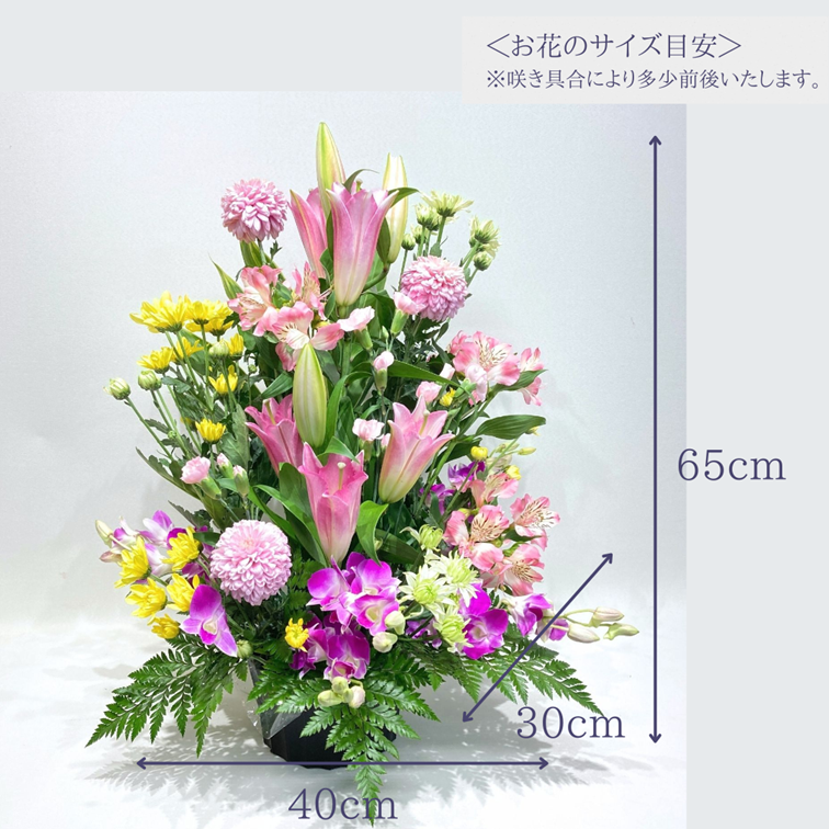 ����������󥸥��ȡ�����ᤪ�ޤ�����ARF-7000-����
