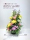 󥸥ȡᤪޤ̵ARF-7000-