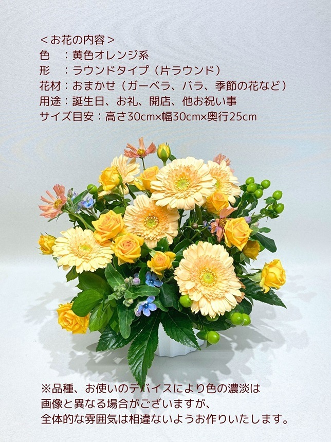 �ե�����󥸥��ȡ�AR-4000Y��OR��