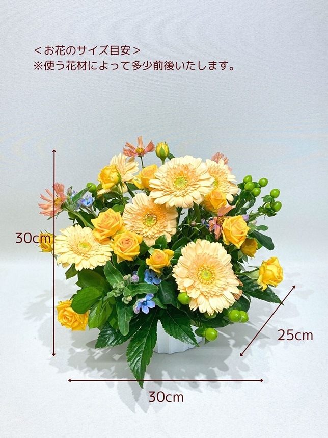 �ե�����󥸥��ȡ�AR-4000Y��OR��