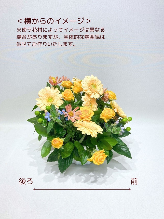 �ե�����󥸥��ȡ�AR-4000Y��OR��