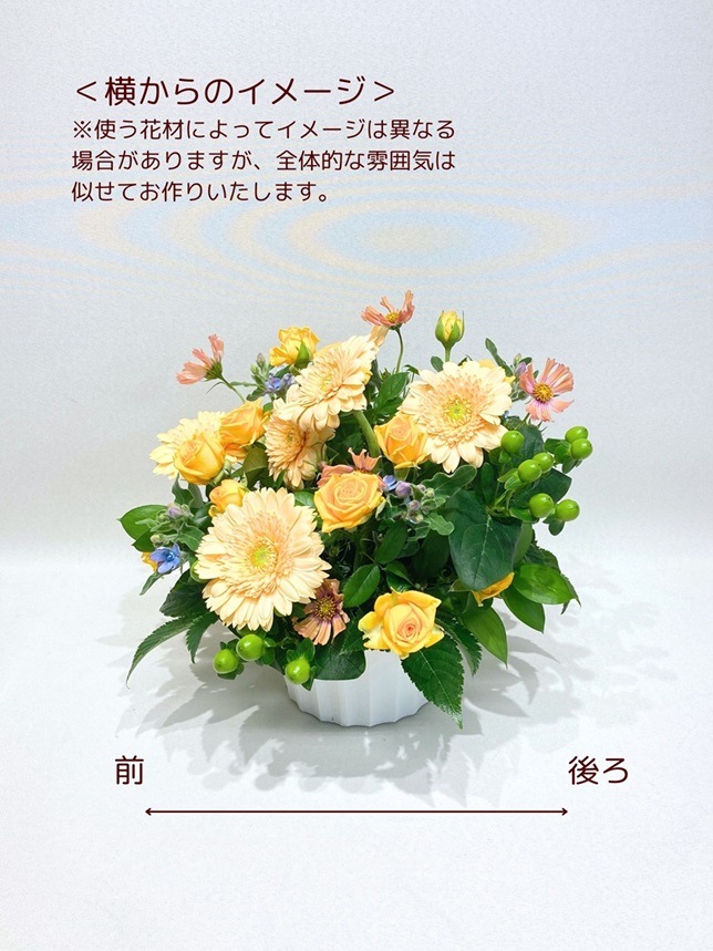 �ե�����󥸥��ȡ�AR-4000Y��OR��