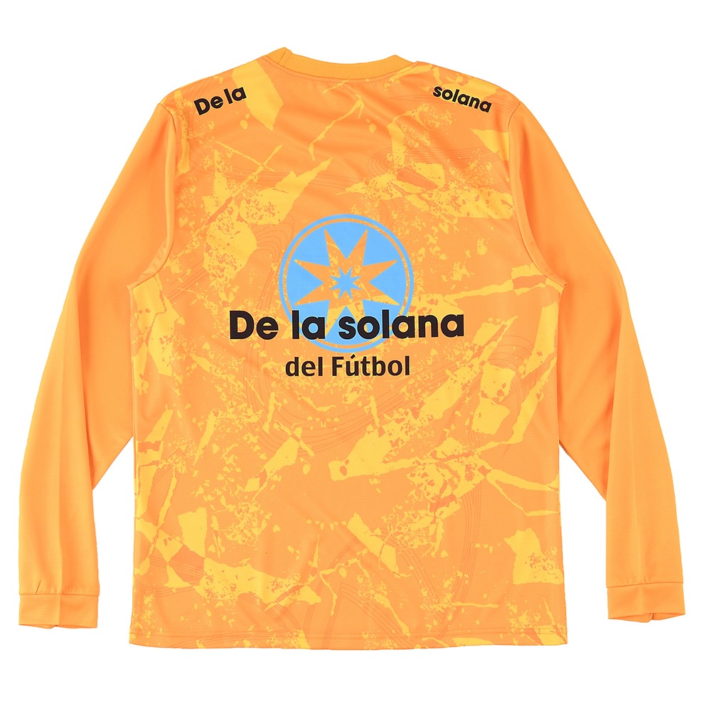 De la solanaʥǥ饽顼ʡĹµ  T DS24F21