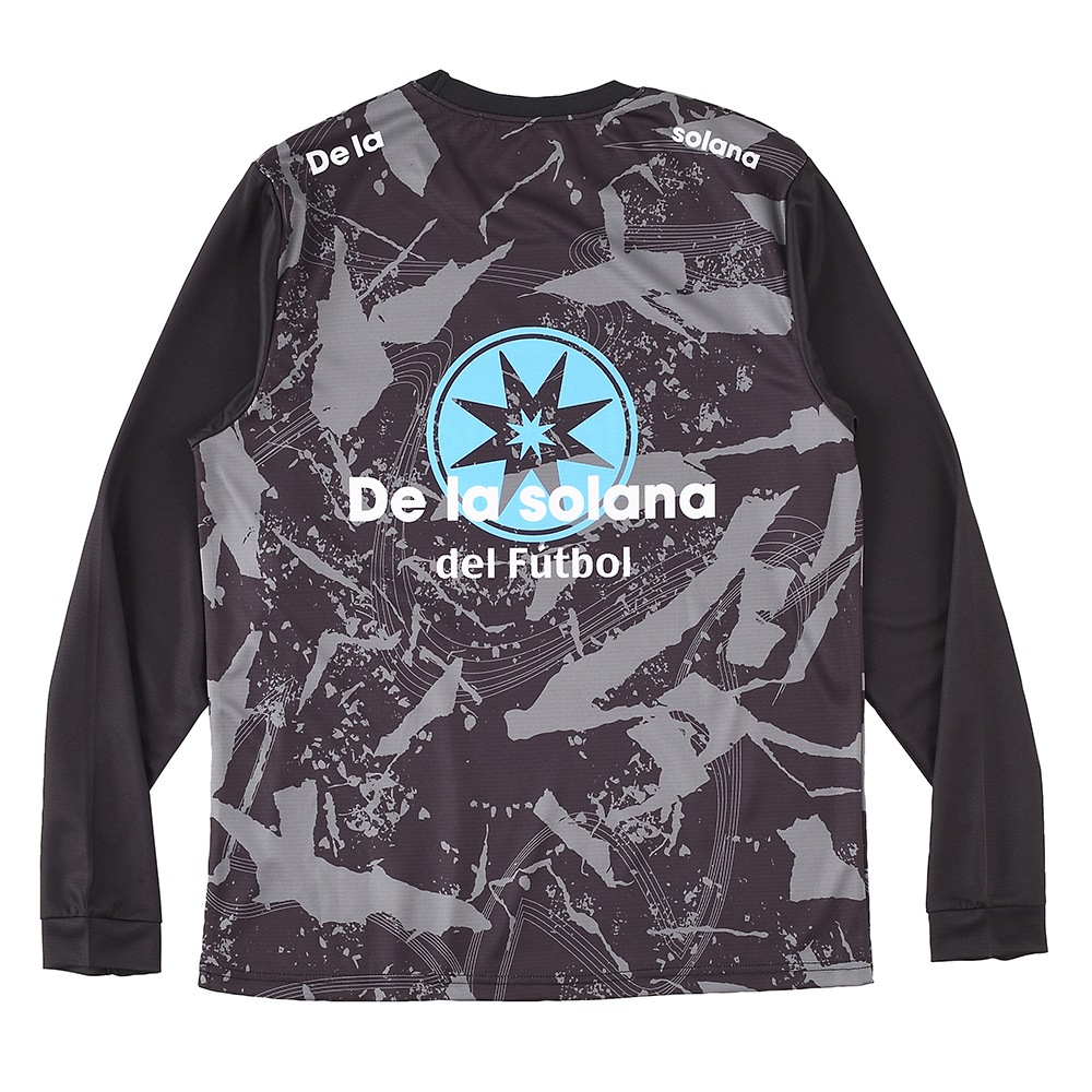 De la solanaʥǥ饽顼ʡĹµ  T DS24F21
