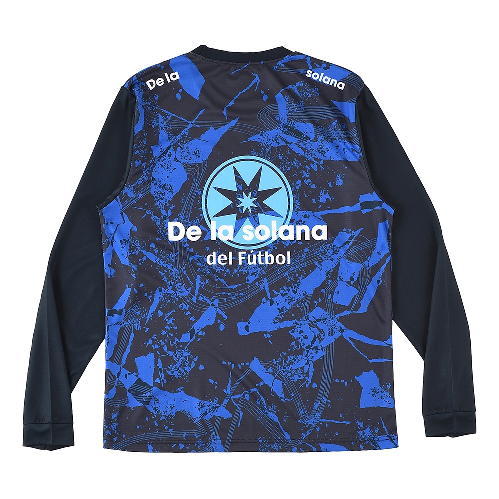 De la solanaʥǥ饽顼ʡĹµ  T DS24F21