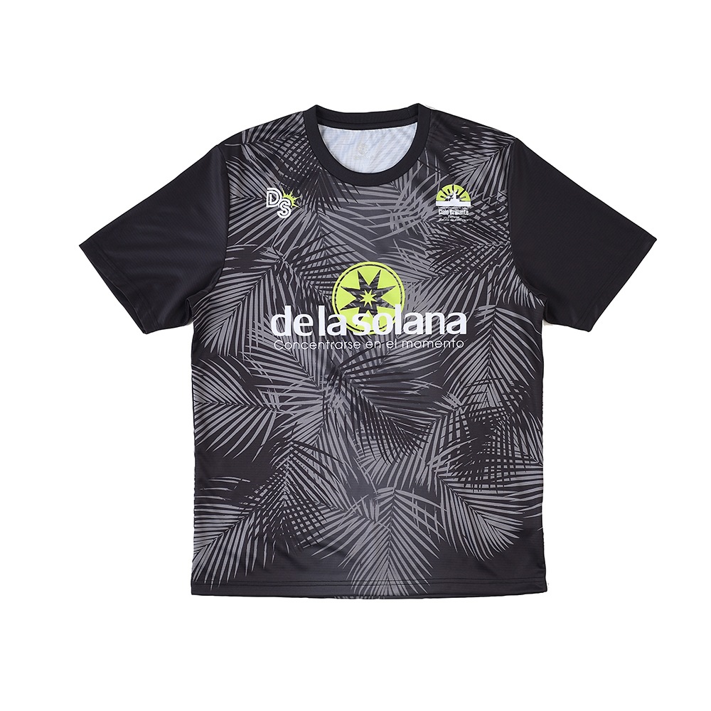 De la solanaʥǥ饽顼ʡȾµT DS25S31