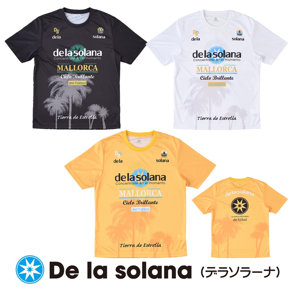 De la solanaʥǥ饽顼ʡȾµT DS25S32