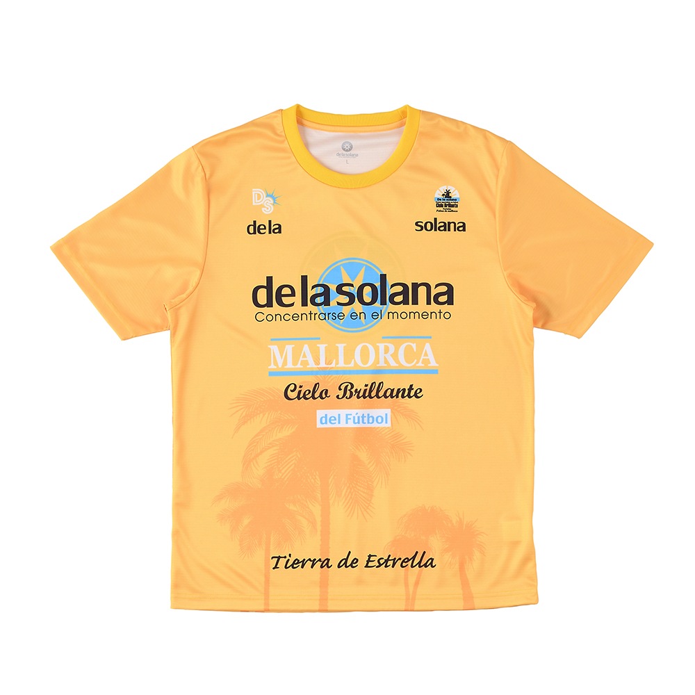 De la solanaʥǥ饽顼ʡȾµT DS25S32