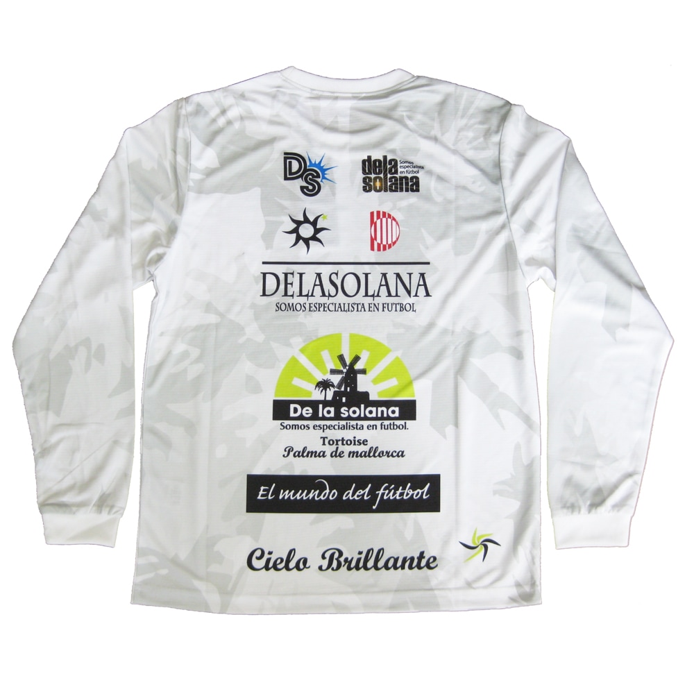 De la solanaʥǥ饽顼ʡĹµ  T DS25F40