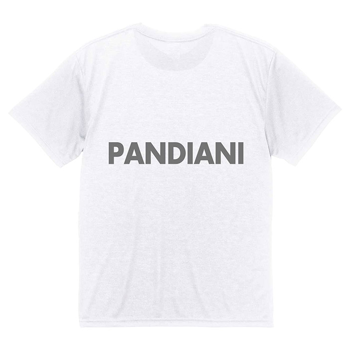 ClaudioPandiani/ SoccerJunky(å󥭡) Tġ֥եåȥ SPRIGGAN+9 åȥ饤DryTEE(cp23a36)