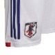 ������ɽ ����˥����硼�ġ�Adidas/���ǥ����� ������ɽ 2022 ����˥��ۡ����ץꥫ���硼�ġ�(hc6293)