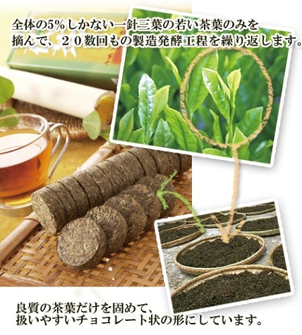 幻のダイエット茶のお試しサイズ「高級茯茶（フーチャ）5個入り」｜黒