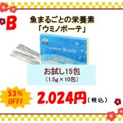 【2024年お正月ＳＡＬＥ】「ウミノボーテ」お試し15包セット★送料無料★