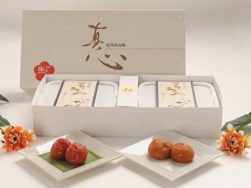 �������եȥ��åȡ��¡��ʤ���