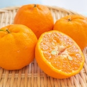 【予約商品】ポンカン 5kg ※1月発送