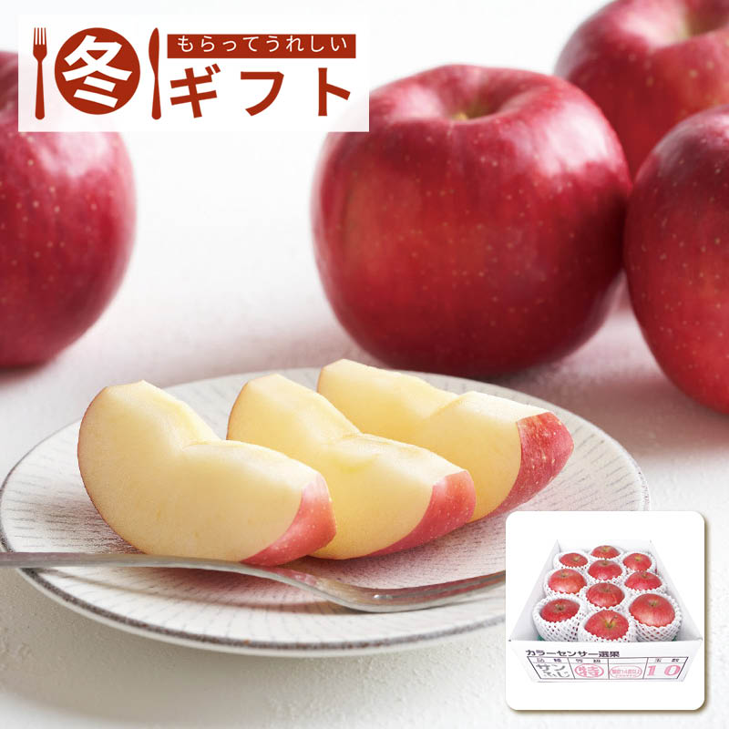 【送料込み】青森県産 糖度14度保証サンふじ約2.5kg