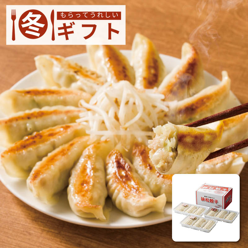 【送料込み】浜松餃子