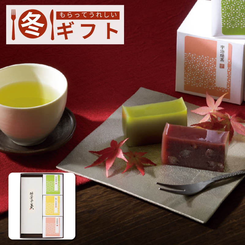 【送料込み】絹ごし羊かん(抹茶)1本・宇治茶セット