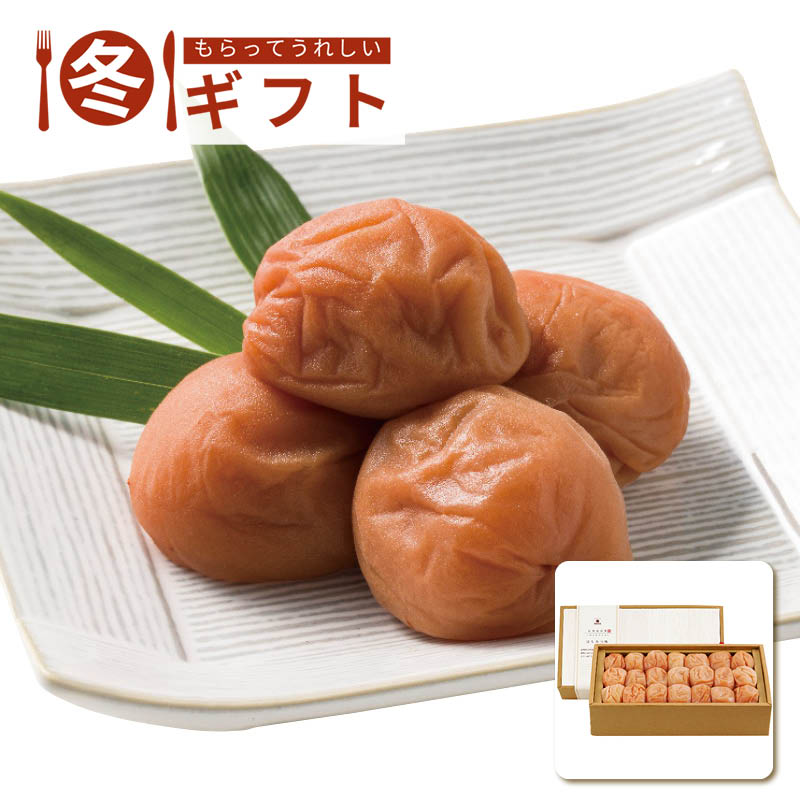 【送料込み】梅道 紀州南高梅はちみつ味