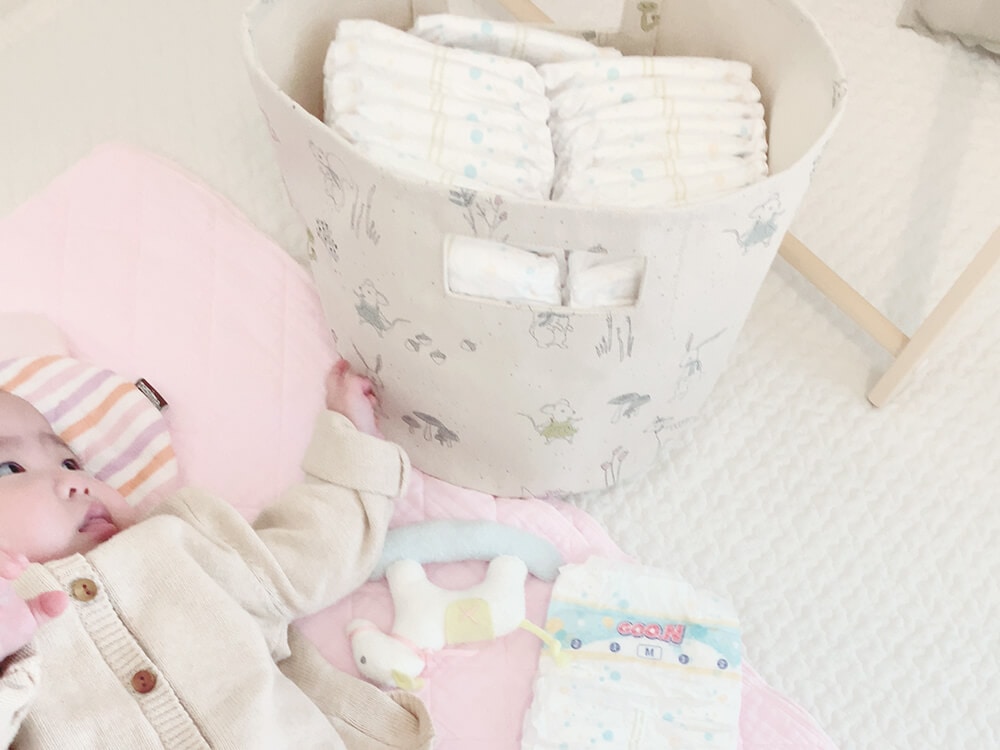 [Pehr]ストレージ(M)